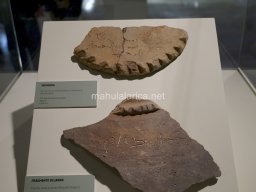 Museos de Albacete 2023